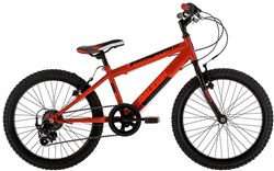 Raleigh Bedlam 20w 2017 Kids Bike