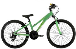 Raleigh Eva 24w Girls 2016 Junior Bike