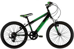 Raleigh Tumult 20w 2017 Kids Bike