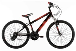 Raleigh Tumult 24w 2017 Junior Bike