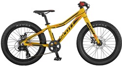 Scott Scale JR Plus 20w 2017 Kids Bike