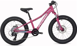 Specialized Riprock 20w 2017 Kids Bike
